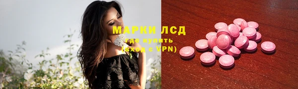 соль ск Горнозаводск