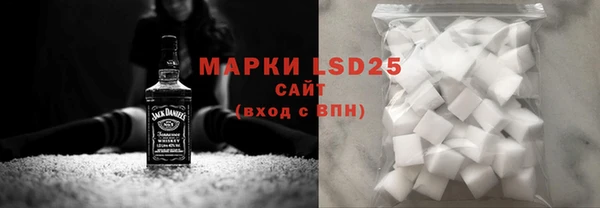 прущий лед Горняк