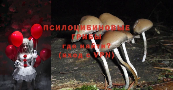 твердый Горно-Алтайск