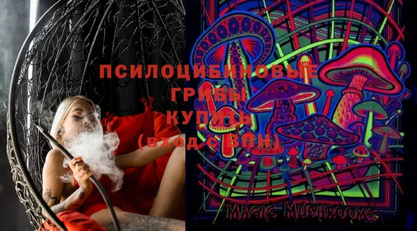 твердый Горно-Алтайск